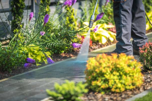 Best Gutter Cleaning  in Lewistown, PA
